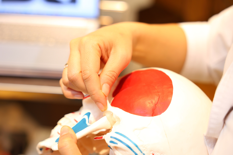 顎関節症の説明風景